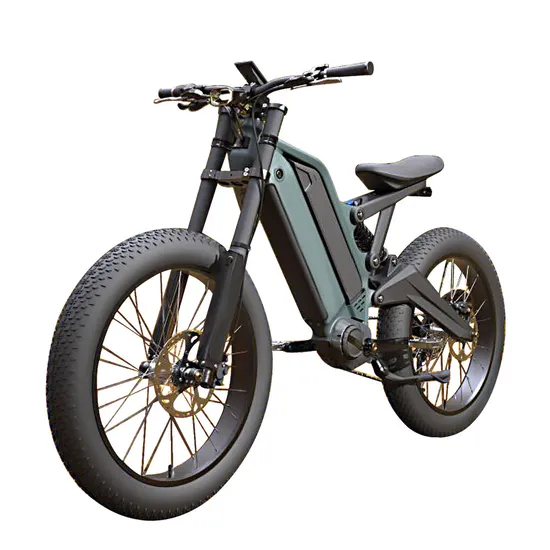 24 Inch 48V 15ah 10ah 9 Speed Cycle Aluminum Alloy Fat Tire 1000W Electric Bike 