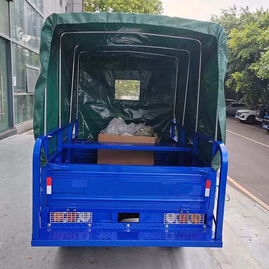 150cc Water Roof Motorcycle Tricycle Cargo Auto Rickshaw Gasoline 3