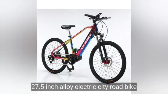 Magnesium Alloy Frmae 350W Moto 7 Speed 27.5 Inch City Road Fat Tyre Electric /E Bike Mountain Bike 