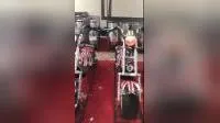 60V 2000W Easy Detachable Battery Pack Electric Scooter Citycoco 