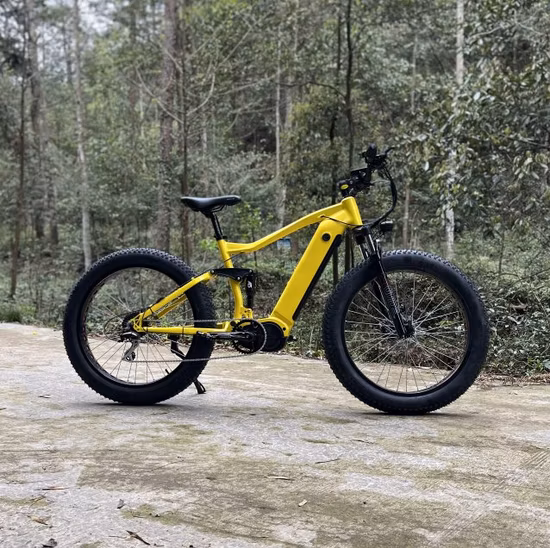 Strong Frame Fat Tire Cargo Electric Bike