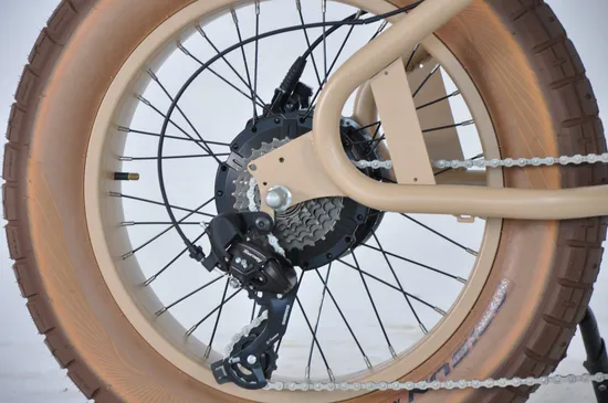 20*4.0 Fat Tire Male Mountain and Commuting Aluminium Frame Electric Bike E