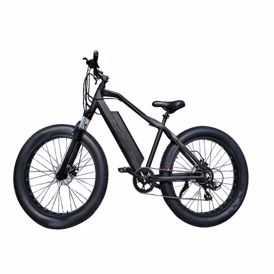 500W/750W/1000W 26 Inch 100 Nm Shimano 7