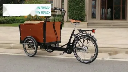 Cargo Bike Pedal and Electric Food Cart 3 Wheels Electric Scooter Tricycle Trike Adult Trailer Track Family Mini 3 Wheels Tricycle Adult 