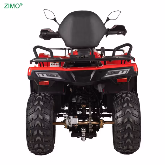 250cc Sport ATV Racing Quad