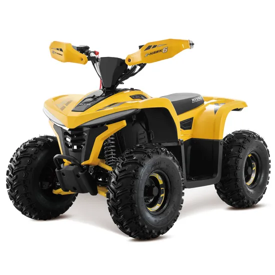 2023 New Lithium Battery 48V 1600W Electric ATV for Kids 