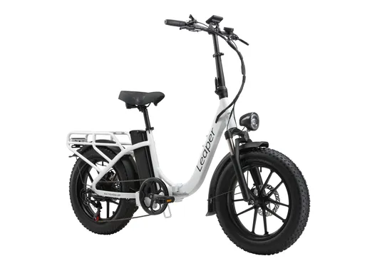 20 Inch Fat Tire 20*4 7 Speed 48V 750W Electric Dirt Bikes with Hydraulic Disc Brake 