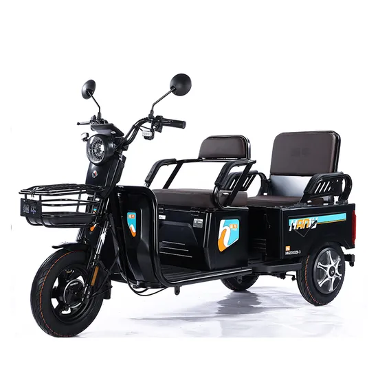 Electric Bicycle Tricycle 3 Wheels Bike Customized Mini E