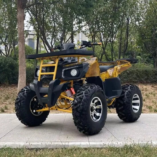 Cheap ATV 150cc 250cc 300cc 4 Wheel Gasoline Atvs Farm UTV Quad Motorbike 
