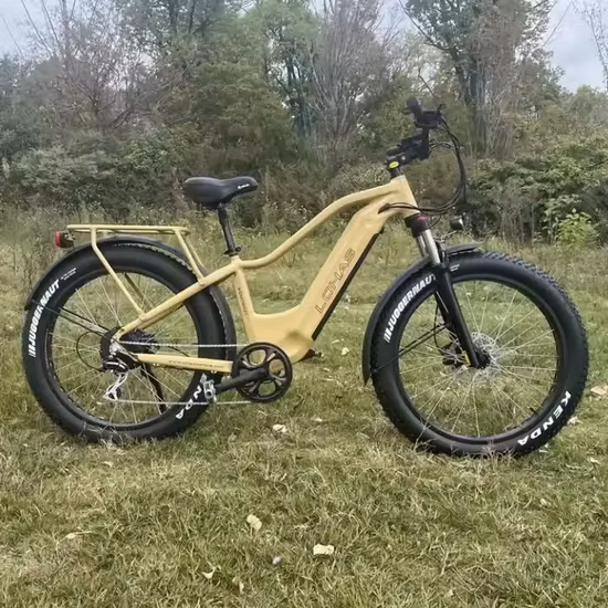 Factory Supply Electric Motor Bike 48V 500W Lithium Battery E Bike Commuter Electric City Bicycle