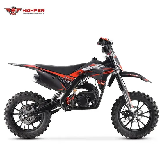 49cc 2 Stroke Mini Motocross Gasoline Kids Dirt Bike 